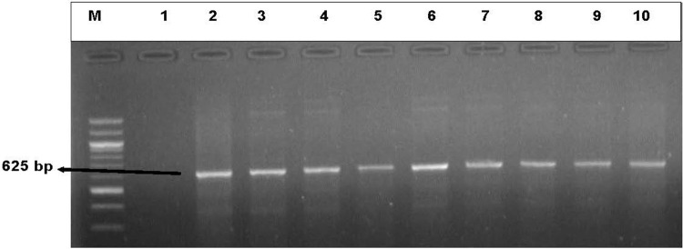 Figure 7