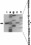 FIG. 7