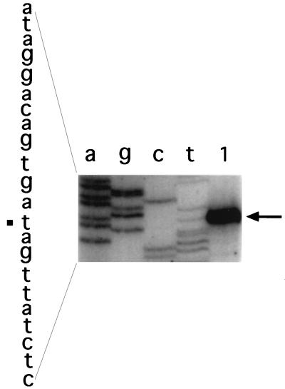 FIG. 6