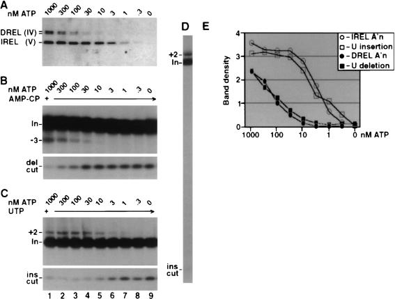 FIGURE 6.