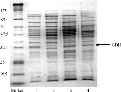 FIG. 3.