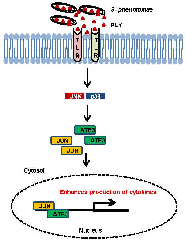 Fig. 6.