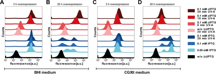 FIG 3