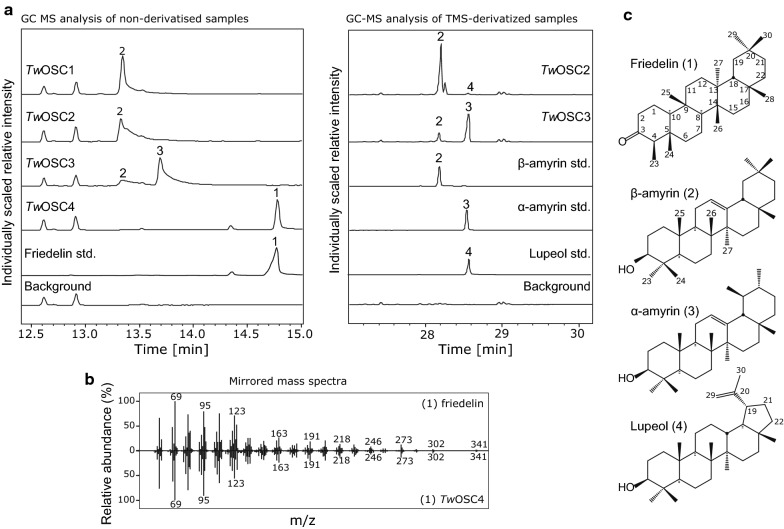 Fig. 3