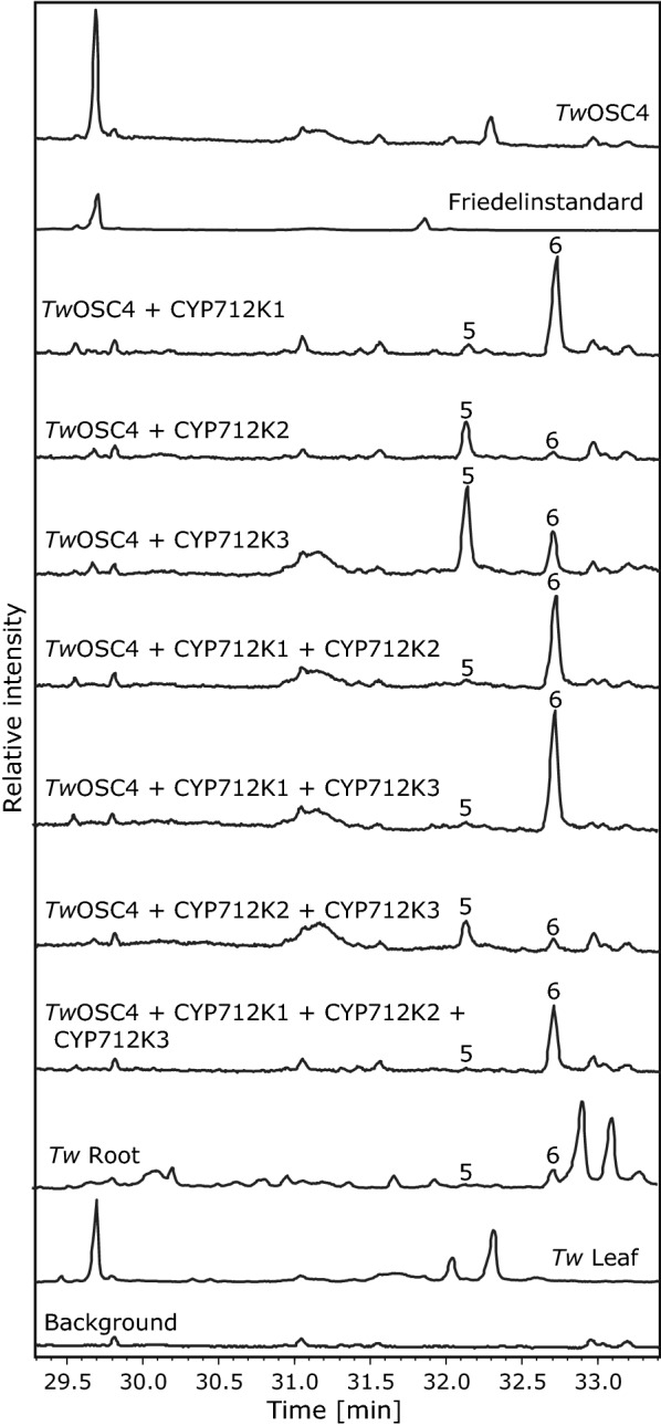 Fig. 4