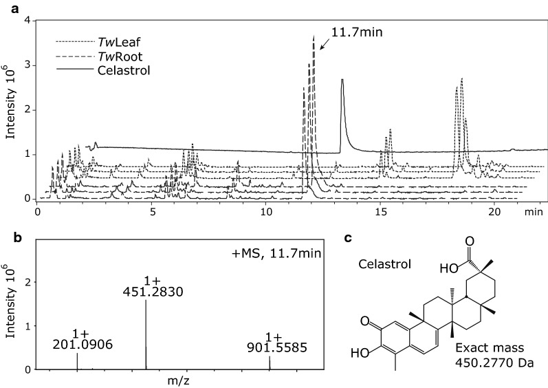 Fig. 2