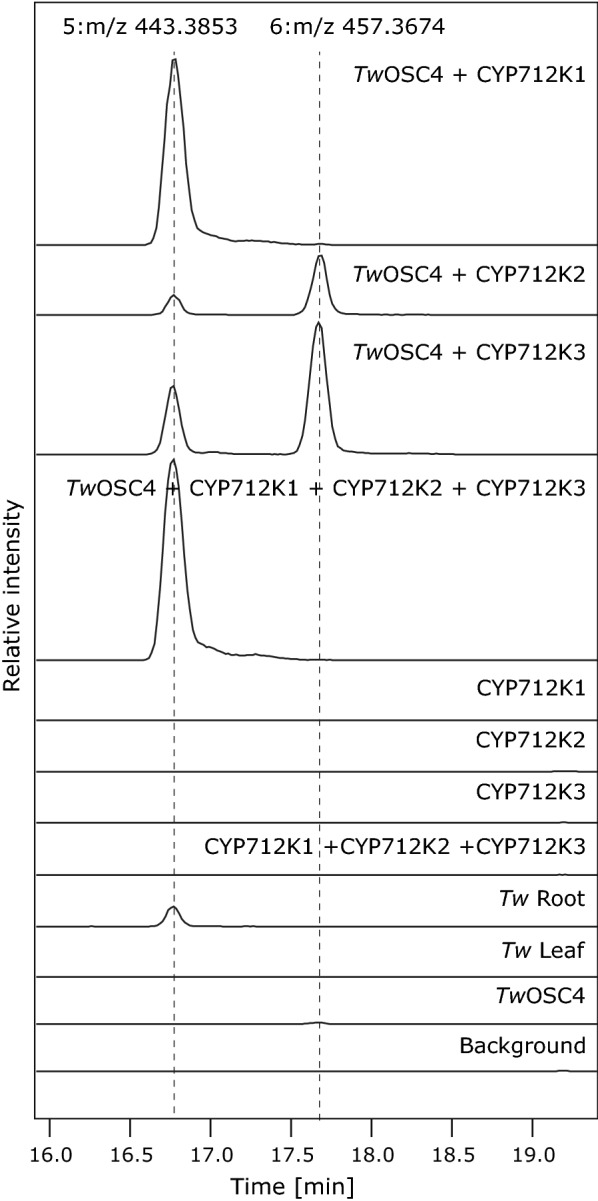 Fig. 5