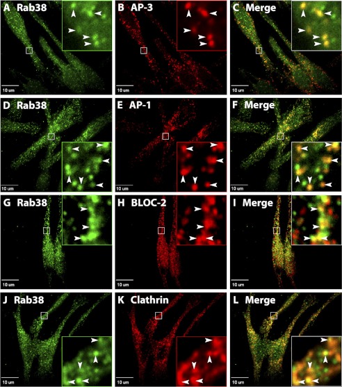 FIGURE 4.