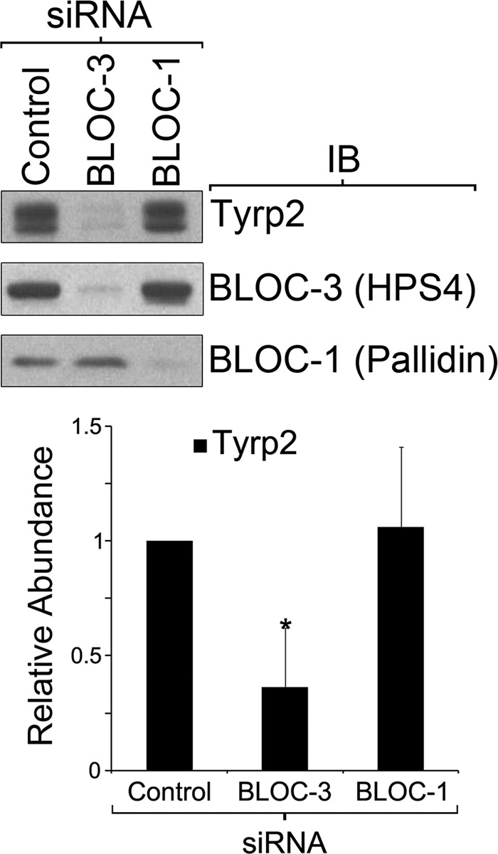 FIGURE 9.