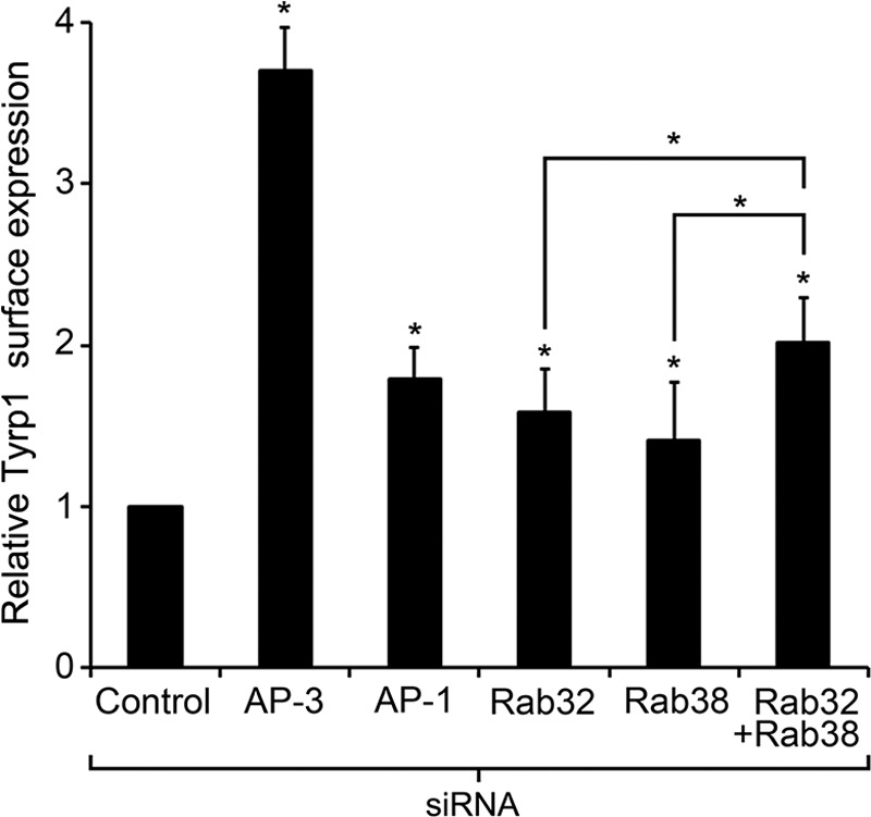 FIGURE 7.