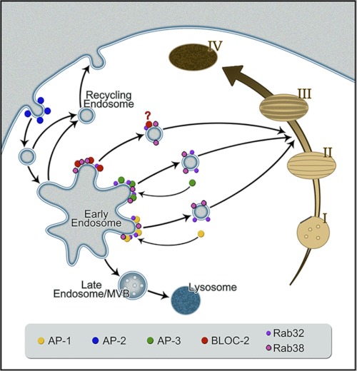 FIGURE 10.