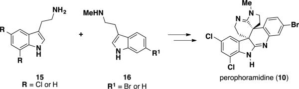 Scheme 2