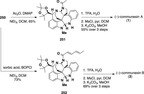 Scheme 40