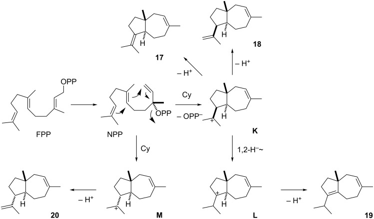 Scheme 3