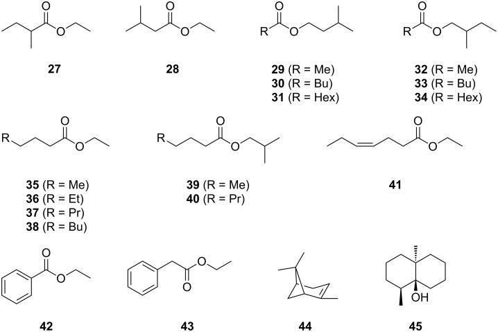 Scheme 5