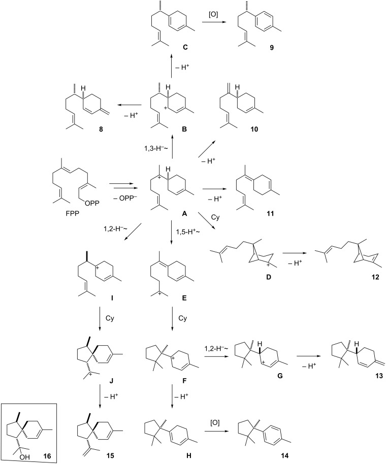 Scheme 2