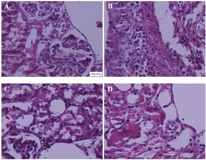 Fig. 4