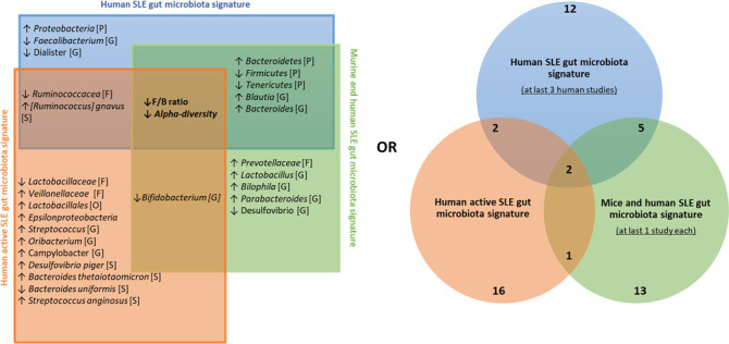 Figure 5