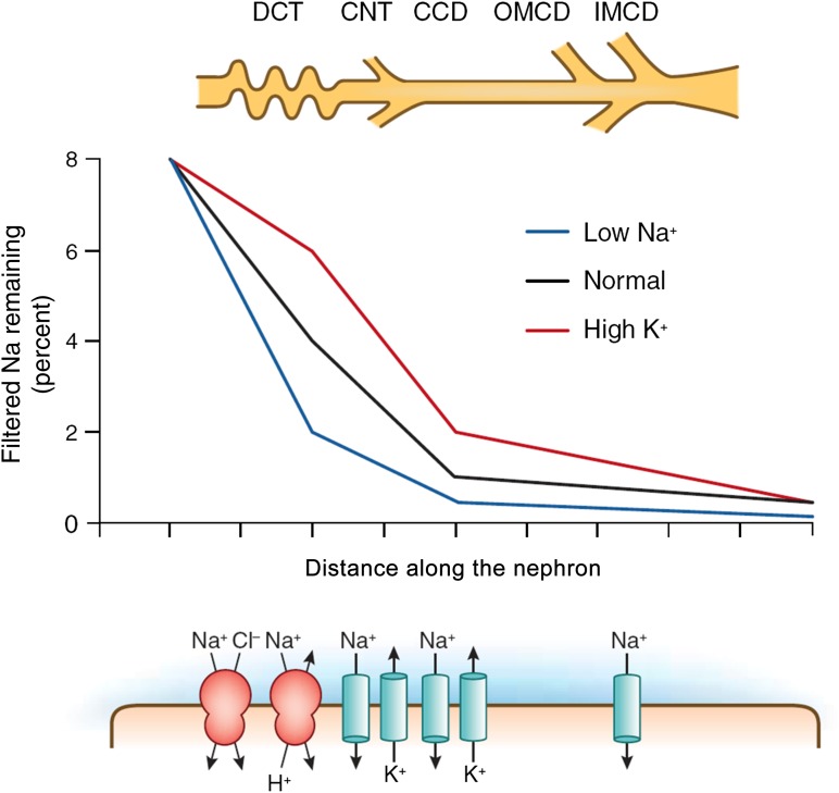 Figure 5.