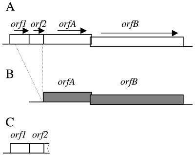 FIG. 1.