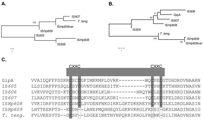 FIG. 2.