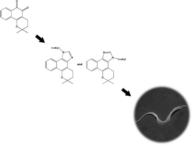 graphic file with name c7md00069c-ga.jpg