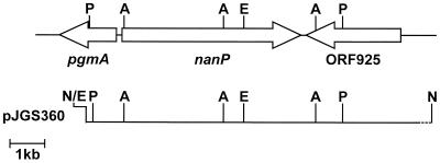 FIG. 1.