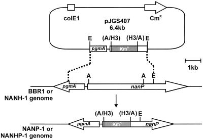 FIG. 3.