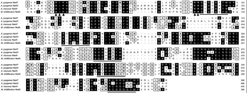 FIG. 2.