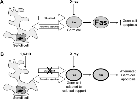 FIG. 8.