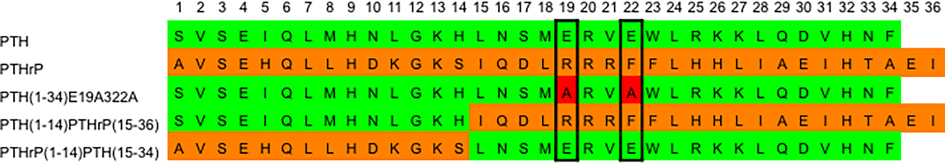 Scheme 2: