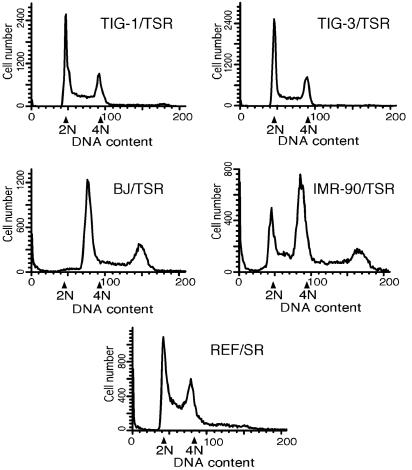 Fig. 8.