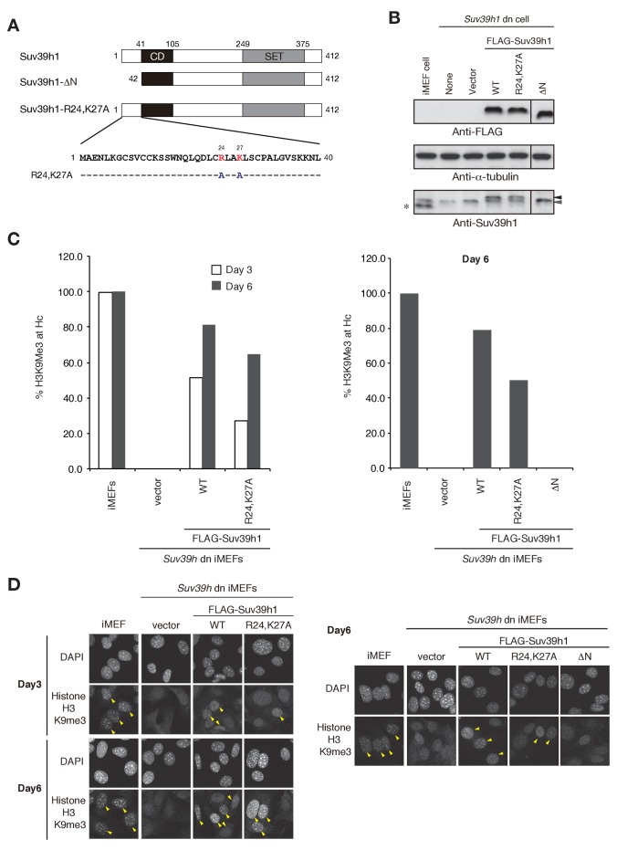 Figure 3—figure supplement 4.