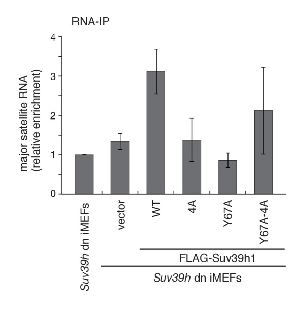 Figure 4—figure supplement 1.