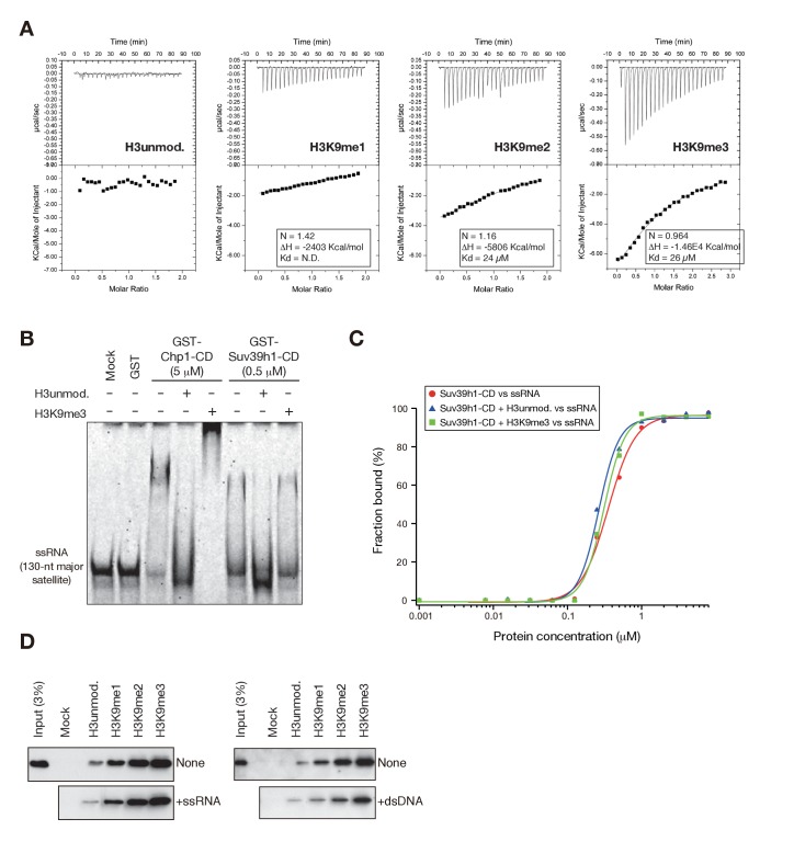 Figure 2—figure supplement 1.