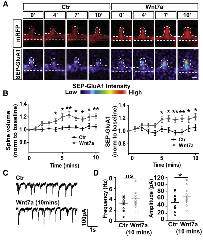 Figure 4