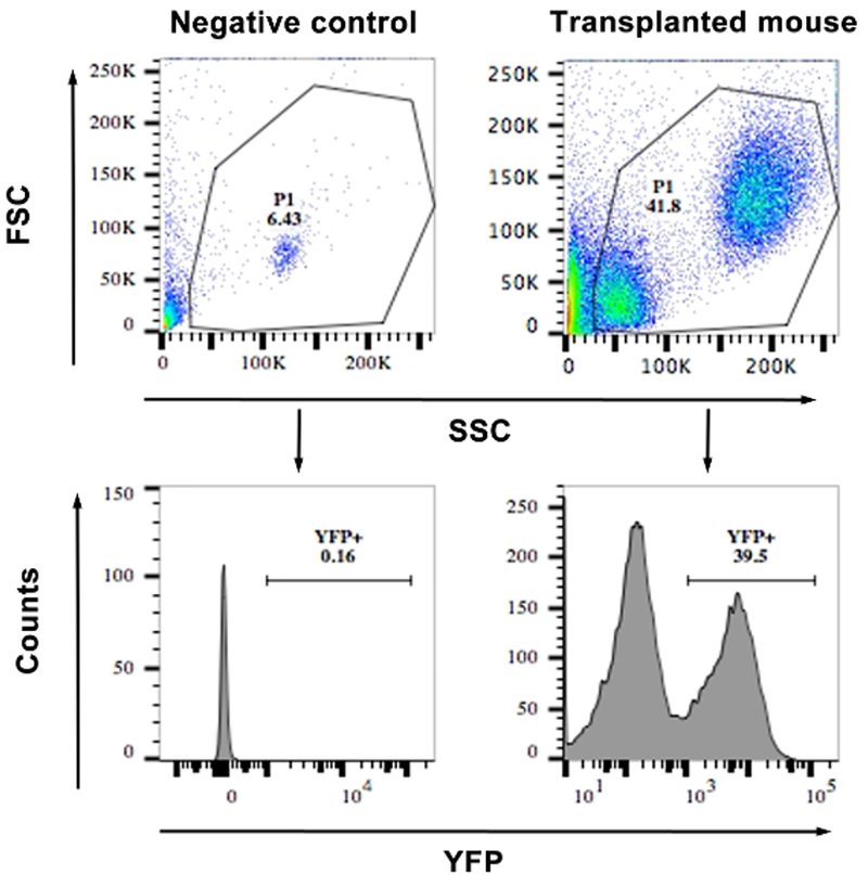 Figure 4: