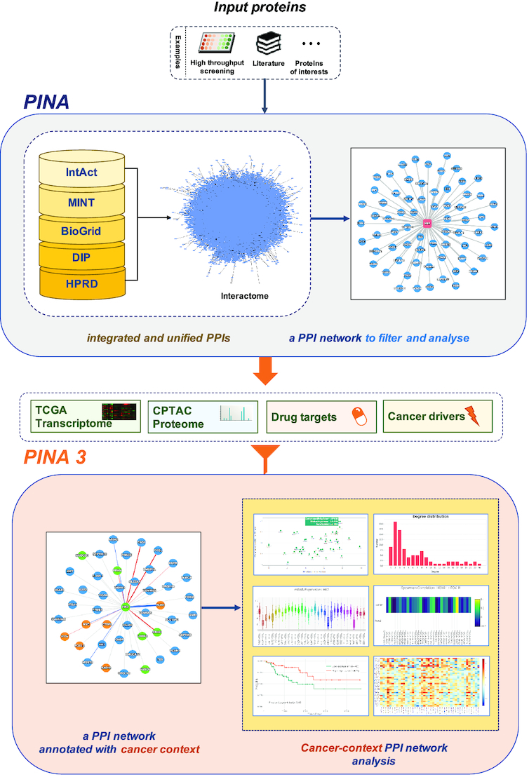 Graphical Abstract