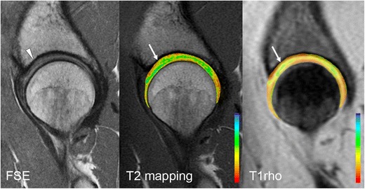 Fig. 10