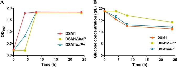 FIG 1