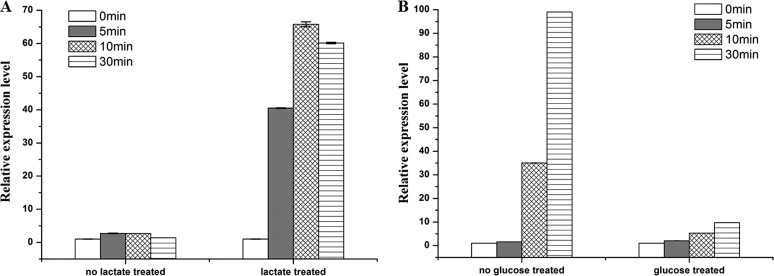 FIG 3