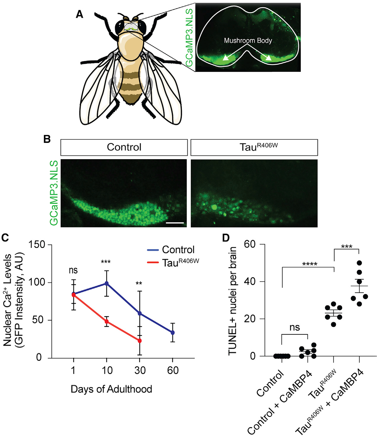 Figure 2.