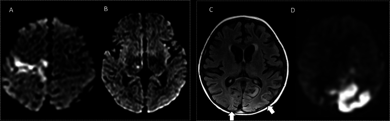 Fig. 8