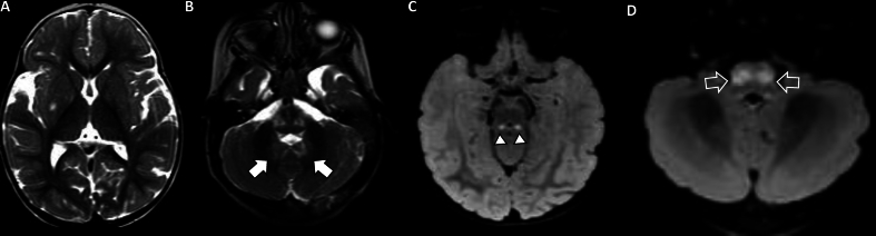 Fig. 6