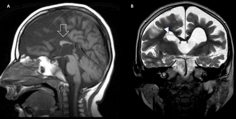 Fig. 9