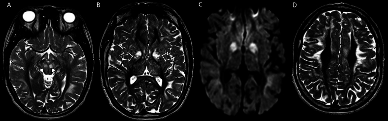 Fig. 7