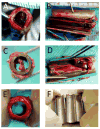 Fig. 5