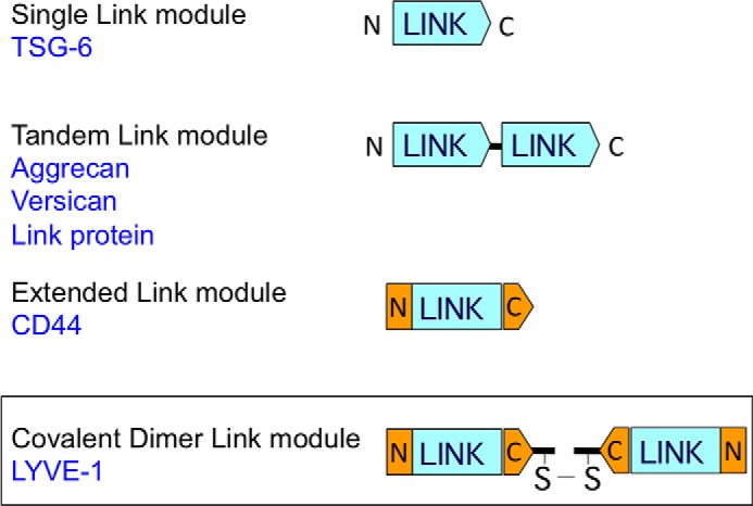 FIGURE 7.