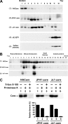 FIG. 8.
