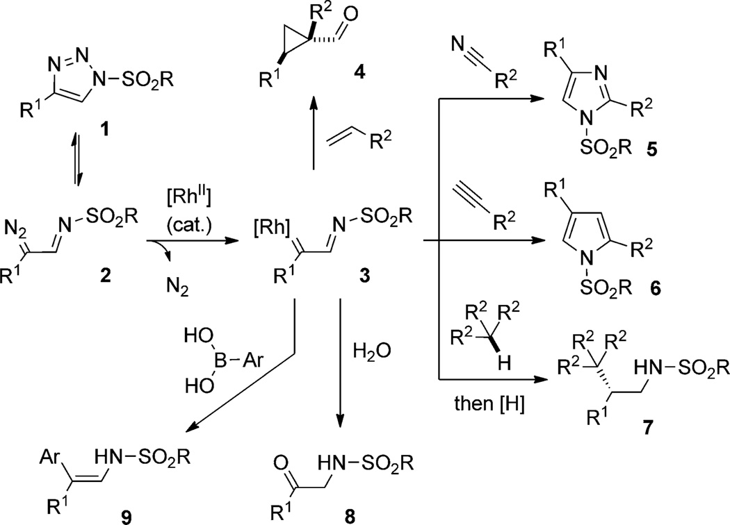 Scheme 1